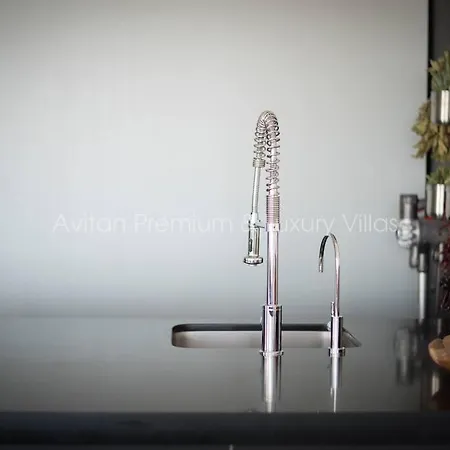 Avitan Gray Villa *