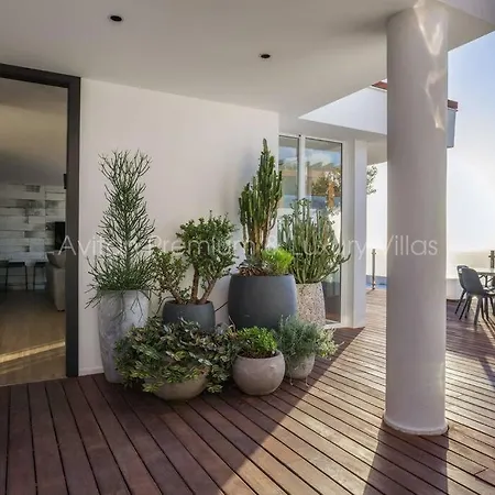 Avitan Gray Villa Costa Adeje (Tenerife)