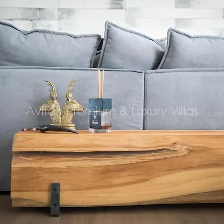 Avitan Gray Villa *